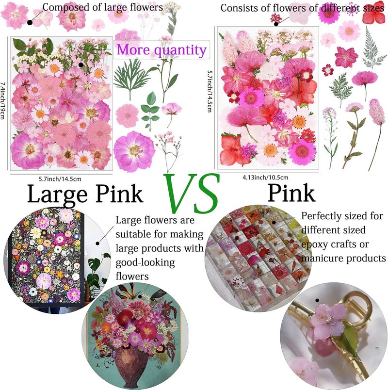 Xinxinran 50Pcs Large Pink Dried Pressed Flowers for Crafts, Dry Flowers Kit for Resin Molds,Epoxy Resin Accessories,Bookmark,Nails, Jewelry Molds,Candle Making Supplies,Soap,Frame,Cakes - Image 3